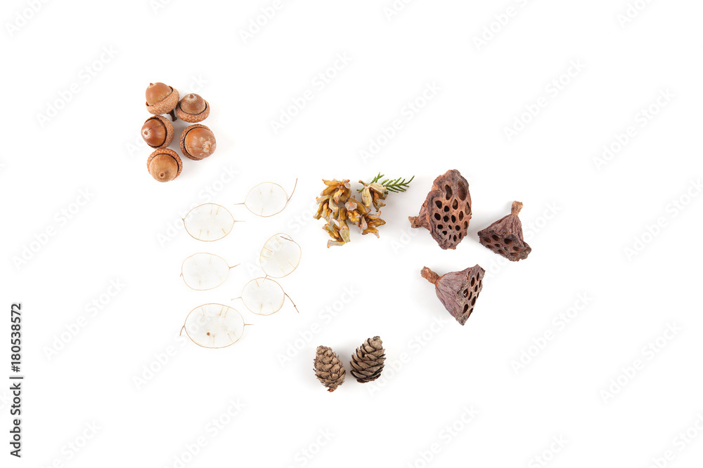 Obraz premium Christmas decoration on white background