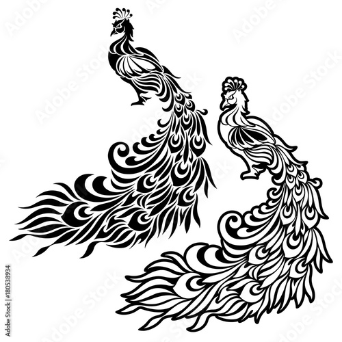 Jpsipokerqlax 上 孔雀 イラスト 白黒 孔雀 イラスト 白黒