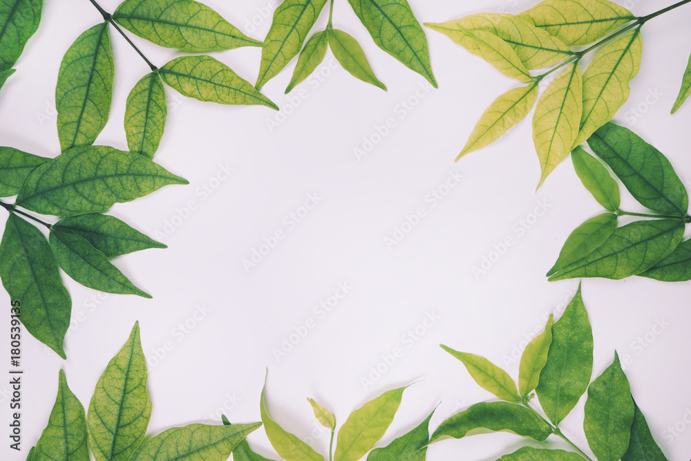 Naklejka premium Leaves nature top view, Flat Lay background
