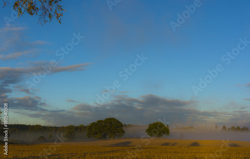 Mystical farm field with pronounced clouds and trees giving the picture great depth.             