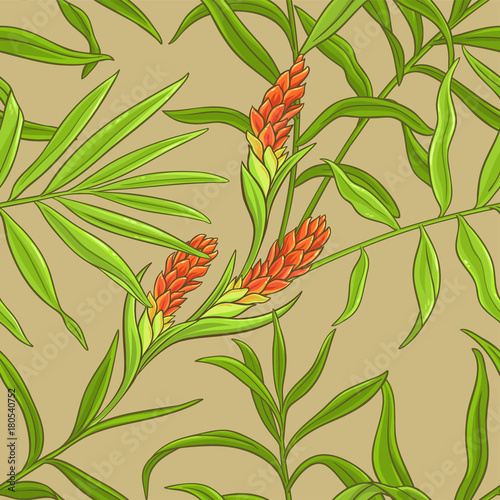 ginger vector pattern
