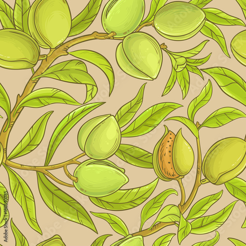 almond vector pattern