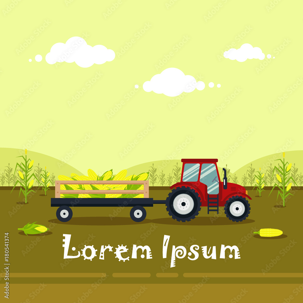 Flat red tractor with a cart corn. The agricultural machinery transports for farm with harvest - vector illustration. Farming landscape