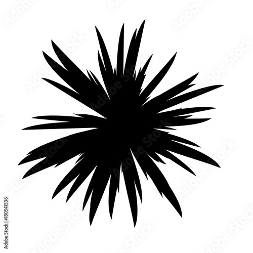 Black and White Flowers Silhouette