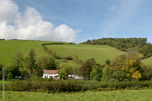 Sheep in field, Doone Valley, Exmoor, North Devon photo