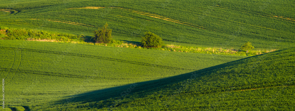 spring, green field-panorama