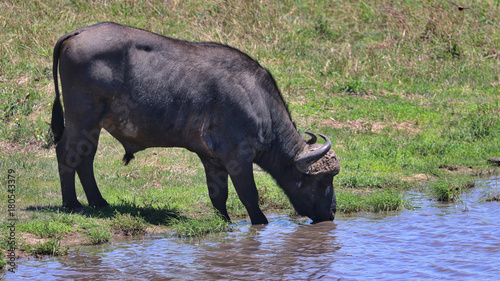 South Africa