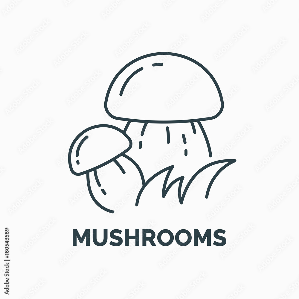 Linear icon and illustration of edible mushrooms on a light background. Linear icon and illustration of edible mushrooms on a light background.