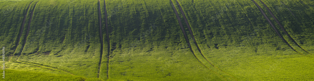 spring, green field-panorama spring, green field-panorama