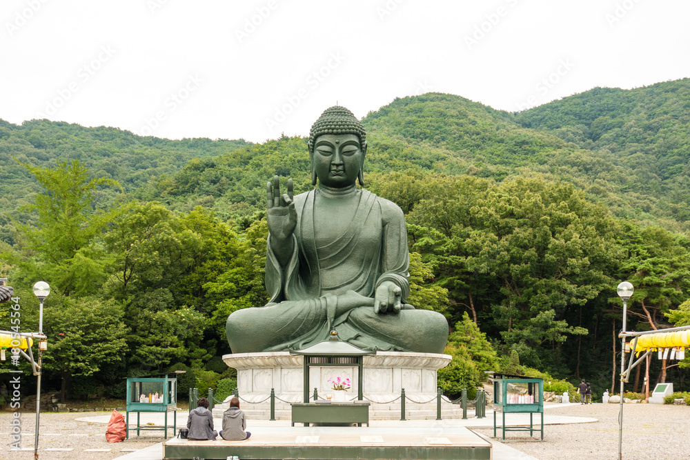 Large bronze Buddha statue of Cheonan Gakwonsa temple. Large bronze Buddha statue of Cheonan Gakwonsa temple.