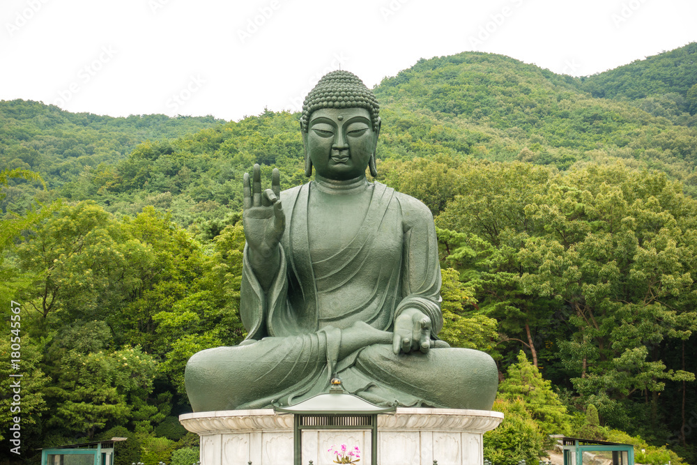 Large bronze Buddha statue of Cheonan Gakwonsa temple. Large bronze Buddha statue of Cheonan Gakwonsa temple.