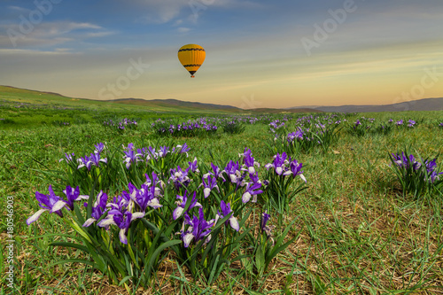 Hot air alloon in the sky over the flowers in the mountains photo