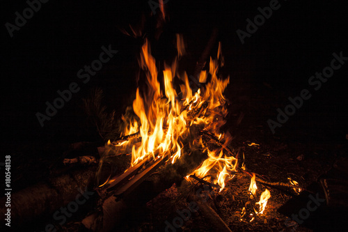 Burning logs in a fire. Bonfire on a black background.