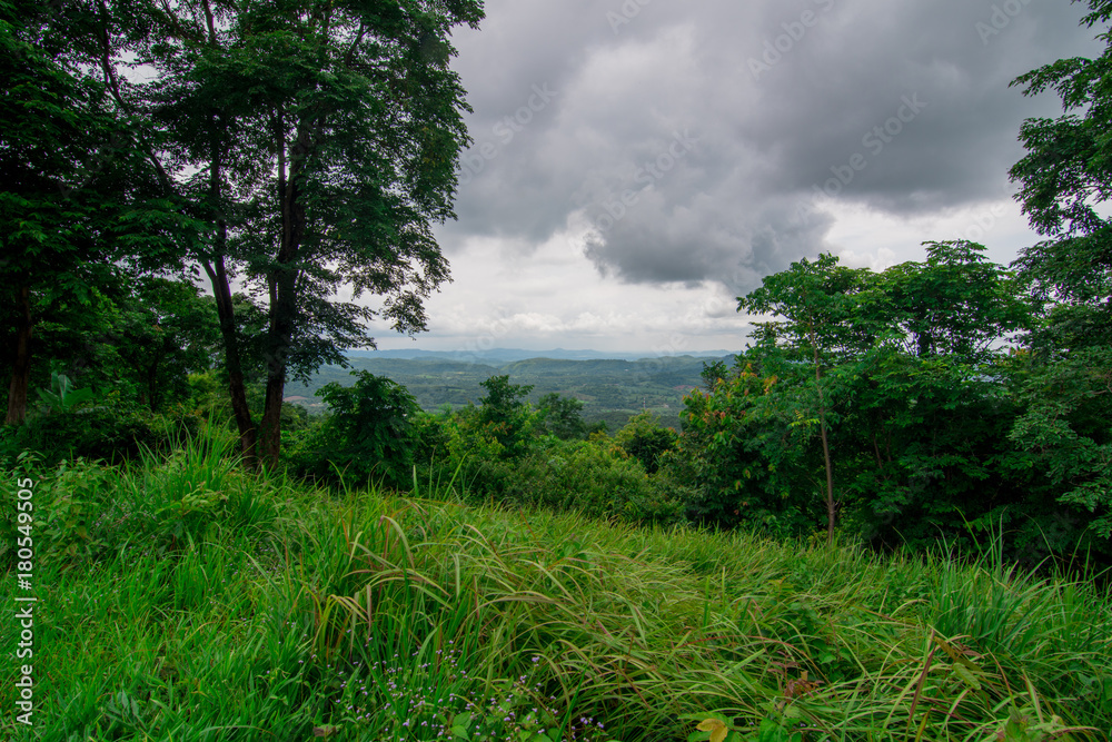 Fototapeta premium landscape