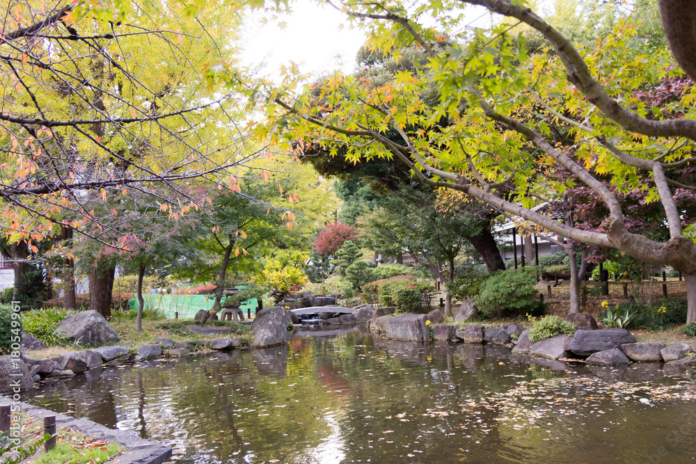 Yokoamicho Park in autumun / Yokoamicho Park is a Tokyo metropolitan park in Yokoami, Sumida-ku, Tokyo Japn. Yokoamicho Park in autumun / Yokoamicho Park is a Tokyo metropolitan park in Yokoami, Sumida-ku, Tokyo Japn.