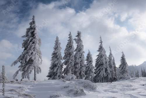 Fantastic winter landscape