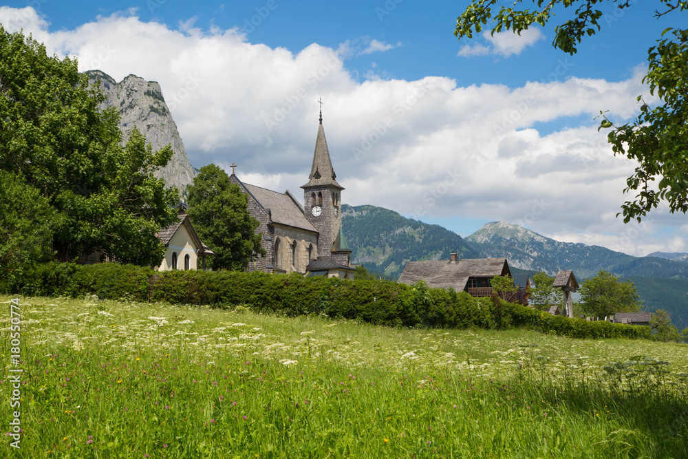 idyllische Almwiese in den Alpen