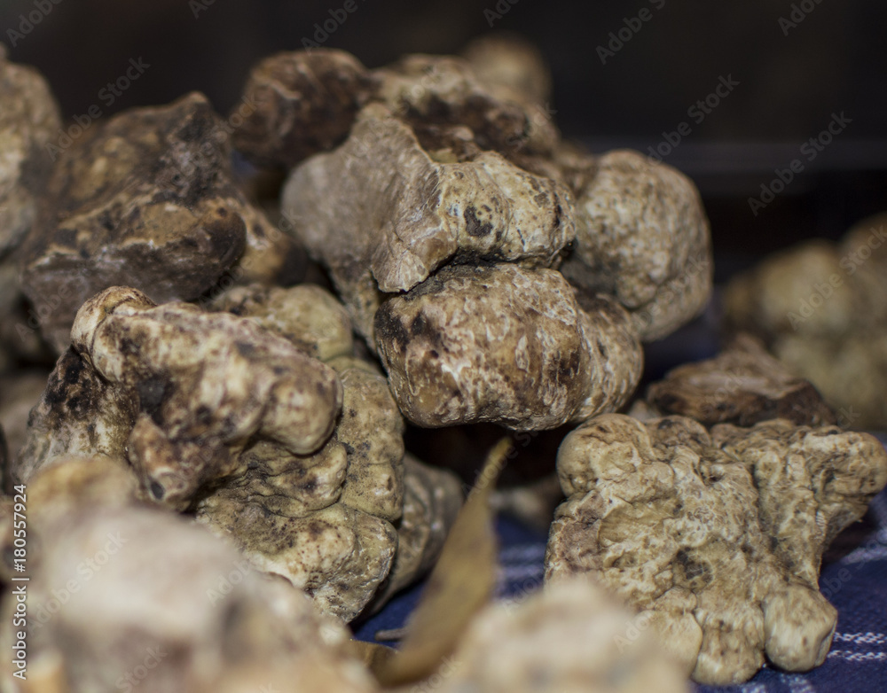 Tuber Magnatum Pico - Tartufo Bianco