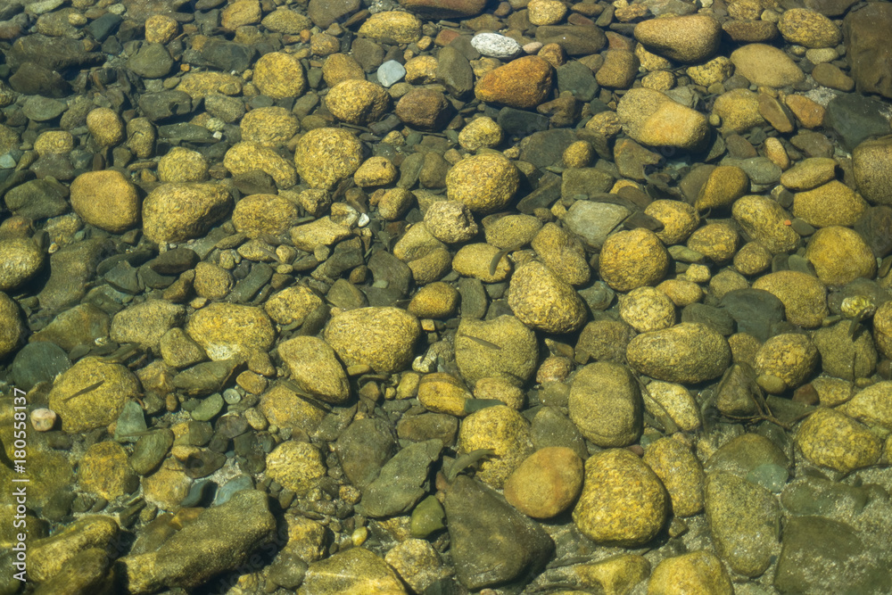 Green background of pebbles and stones under water