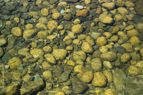 Obraz na płótnie Green background of pebbles and stones under water w salonie