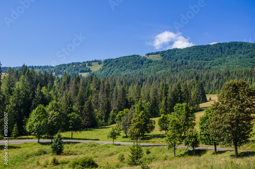 Road in the background of beautiful Carpathian mountains. Summer season