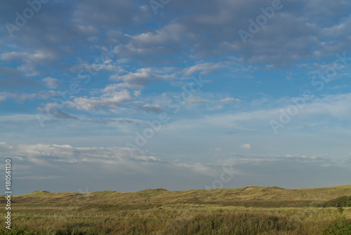 Early morning in the dunes of Holland s North Sea coast