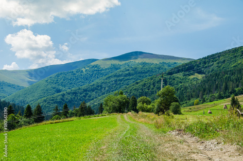 Road in the background of beautiful Carpathian mountains. Summer season © Svfotoroom