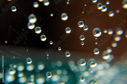 Close up of dew on a spiders web