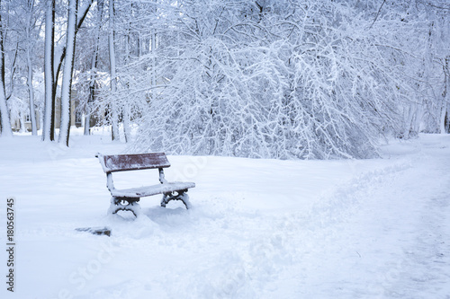 Bench under the snow