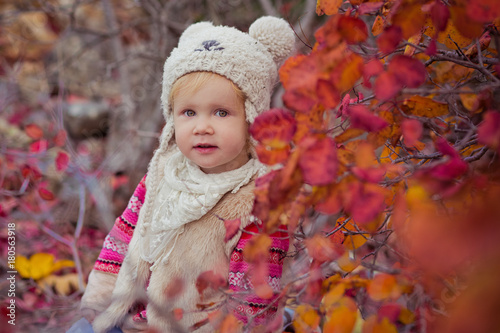 Cute young russian baby girl stylish dressed in warm white fur handmade jacket blue jeans boots and hooked hat teddy bear posing in autumn colorful forest pathway Face with pink cheek photo