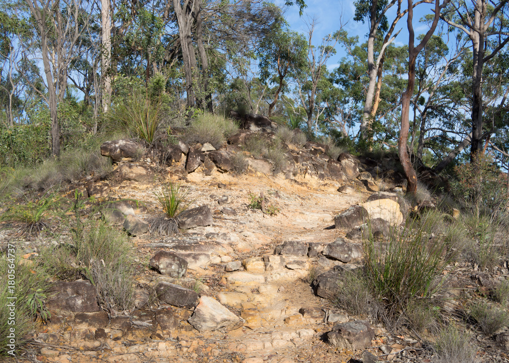 Bushwalking path through South East Queensland Bushwalking path through South East Queensland