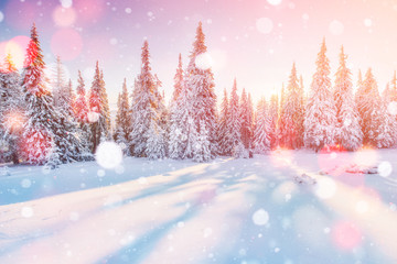 Tableau sur plexiglas Hiver Montagne mystérieuse sous la neige en hiver  © standret