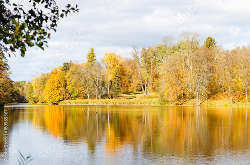 Autumn park with yellow and red foliage over scenery pond