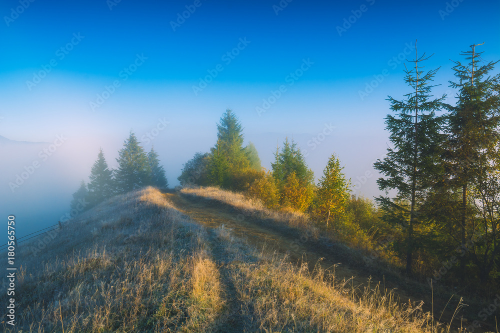 Road through the carpathian foggy valley
