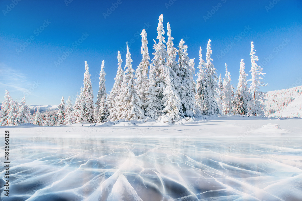 Fototapeta premium Blue ice and cracks on the surface of the ice. Frozen lake under a blue sky in the winter. The hills of pines. Winter. Carpathian, Ukraine, Europe