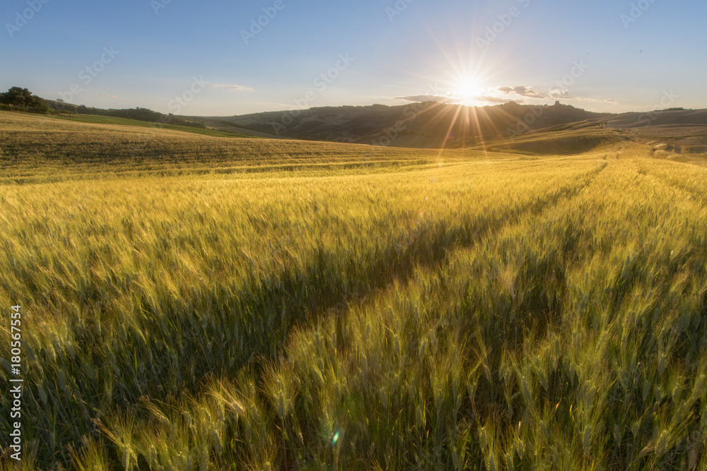 Obraz premium sunrise