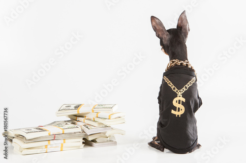 Millionaire with dollars. A...