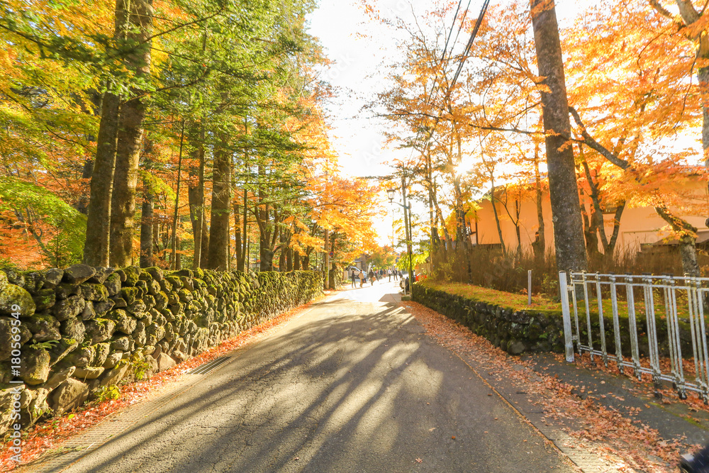 Naklejka premium Karuizawa in Autumn ,Karuizawa is a mountain resort town and a shopping street of Nagano Prefecture, Japan..