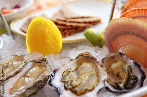 Photography Delicious Sydney Pacific oysters on seafood platter