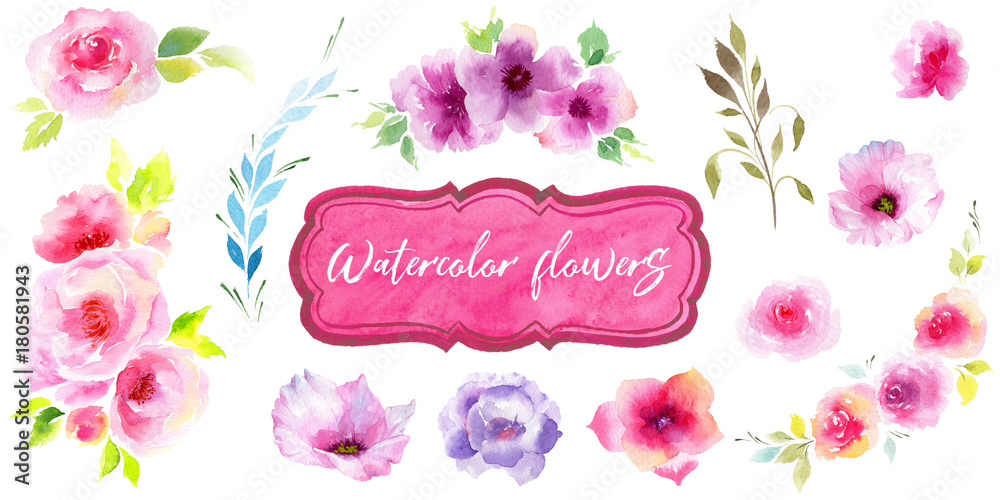 Wildflower eustoma flower in a watercolor style isolated. Full name of the plant: eustoma, marigolds, tagetes. Aquarelle wild flower for background, texture, wrapper pattern, frame or border. Wildflower eustoma flower in a watercolor style isolated. Full name of the plant: eustoma, marigolds, tagetes. Aquarelle wild flower for background, texture, wrapper pattern, frame or border.