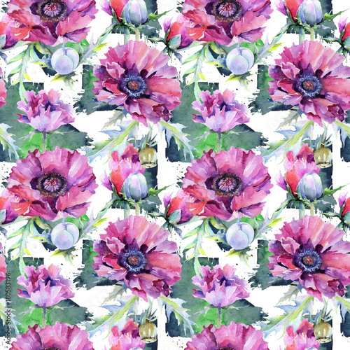 Wildflower poppy flower pattern in a watercolor style. Full name of the plant  poppy  papaver  opium. Aquarelle wild flower for background  texture  wrapper pattern  frame or border.