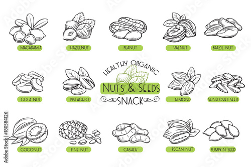 Set vector icons nuts and seeds. photo