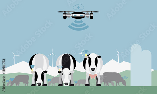 Drone counts cows. Robot shepherd. Internet of things in agriculture. Vector illustration