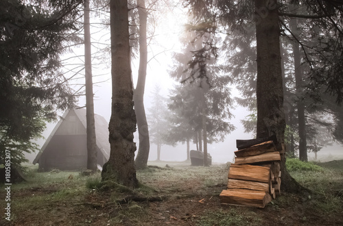 Hütte im nebeligen Wald
