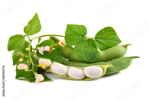 Green beans in pod