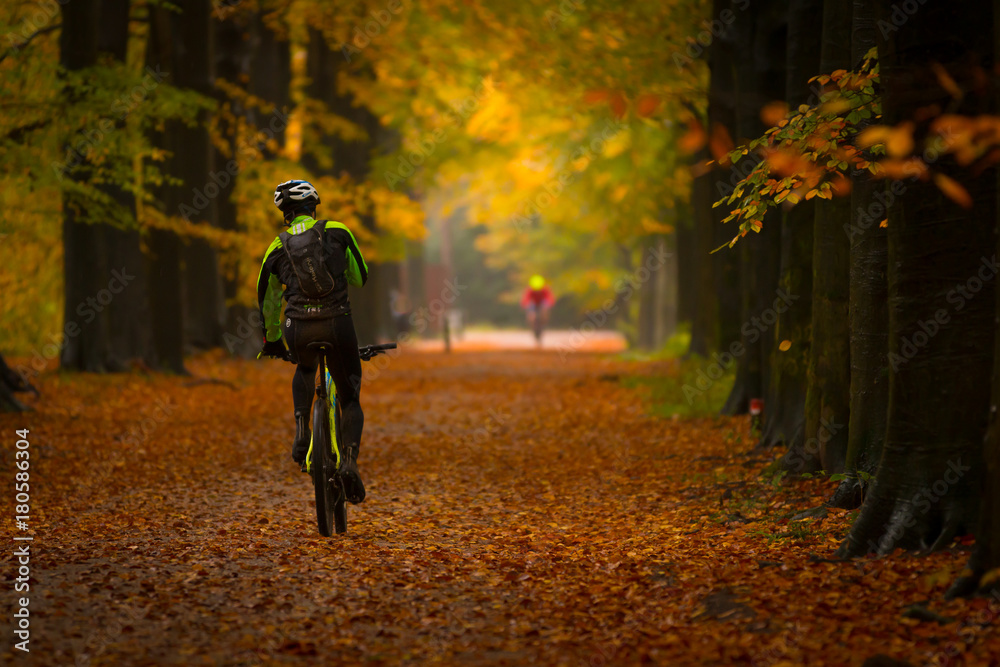 biker on mountain bike in forest in autumn biker on mountain bike in forest in autumn