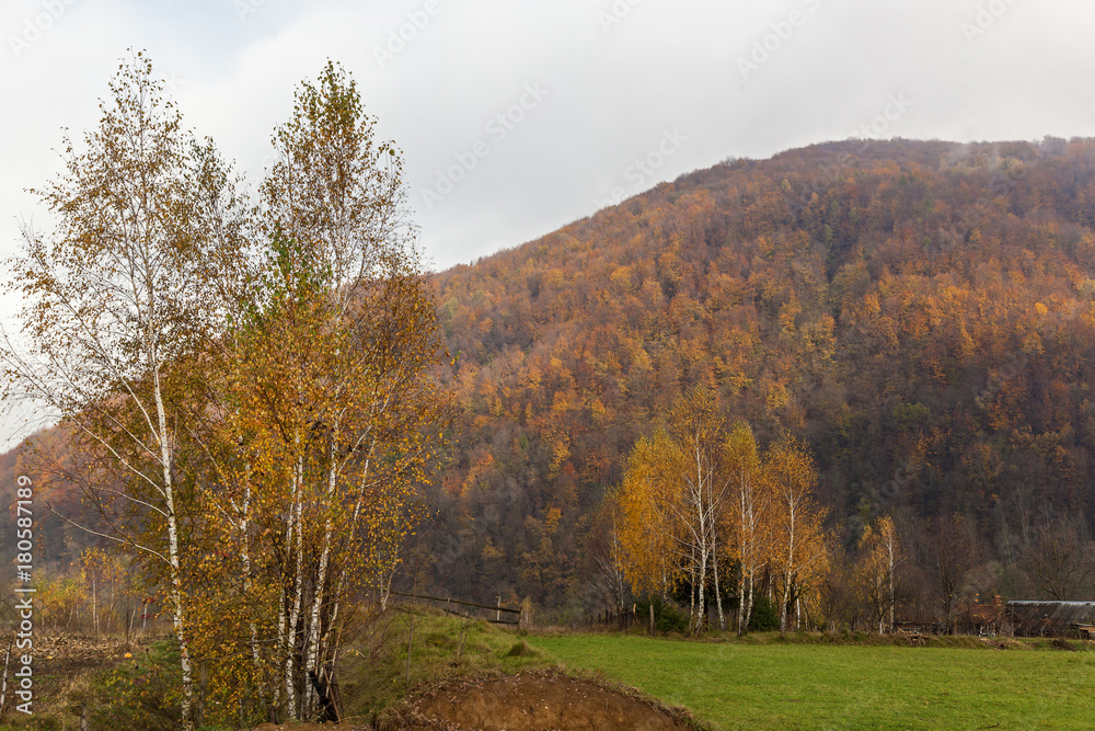 Autumn landscape in the western Ukrainian Carpathians Autumn landscape in the western Ukrainian Carpathians