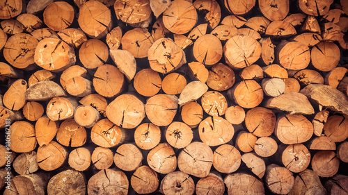 Old wooden log and timber textures