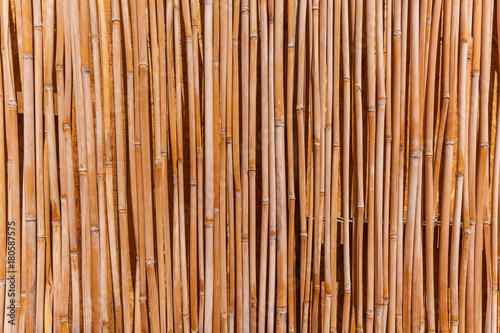 cane texture, The fence of the stalks of cane