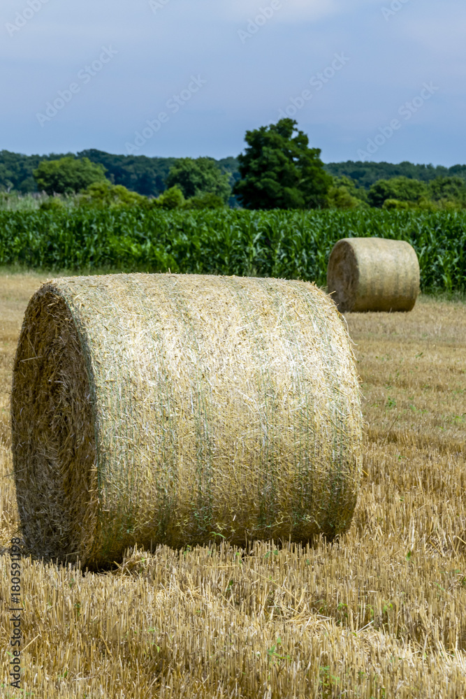 Scenic rural field with rolls of hay. Hay bales on farm field in summer in Hungary.